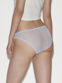 Mesh Hipster Panty