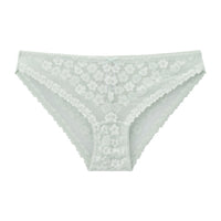 Lace Bikini Panty