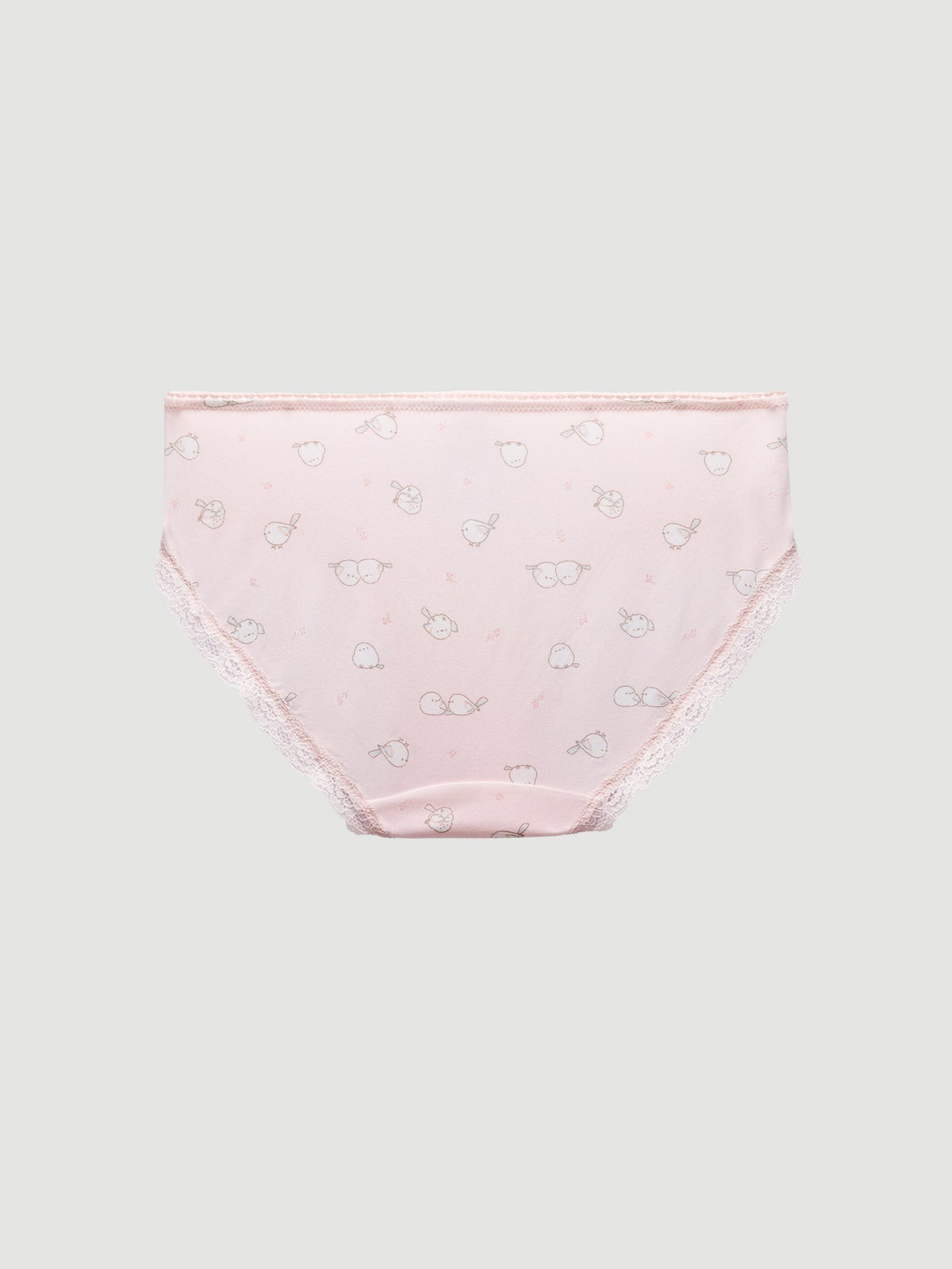 Lace Hipster Panty