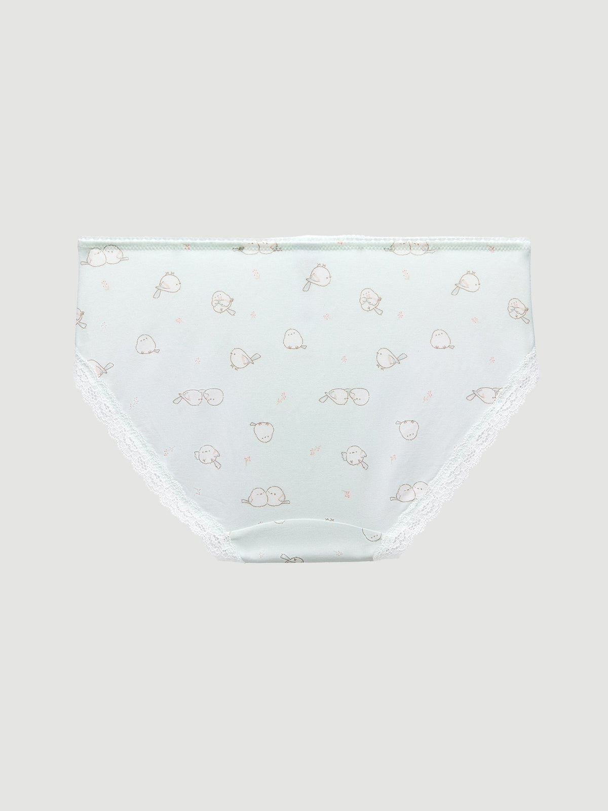 Lace Hipster Panty