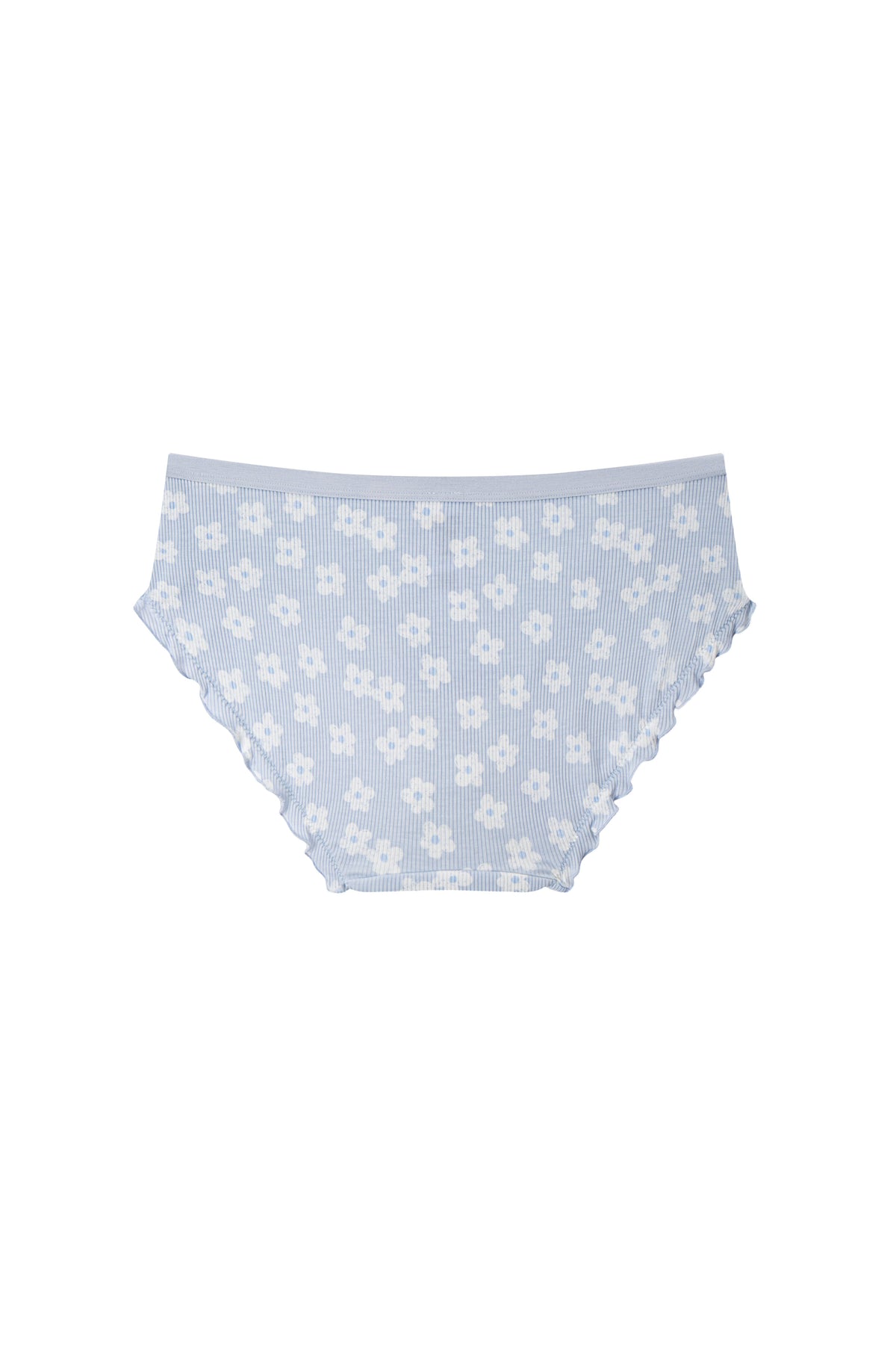 Modal Hipster Panty