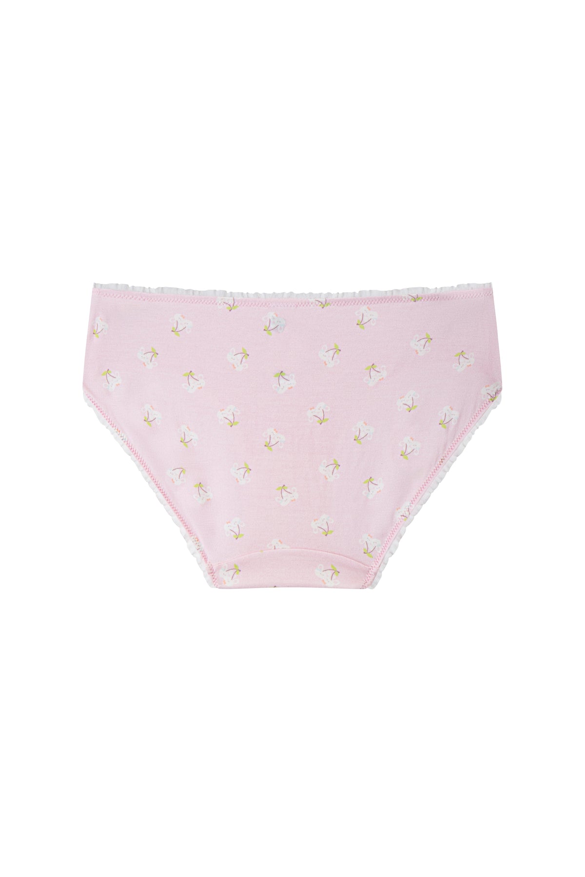 Modal Hipster Panty